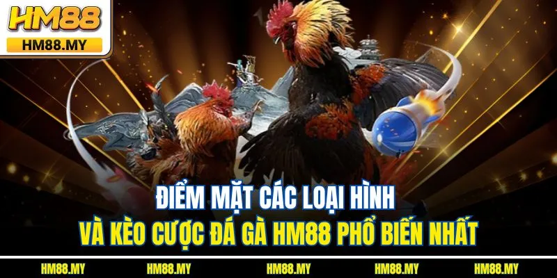 Điểm mặt các loại hình và kèo cược đá gà HM88 phổ biến nhất