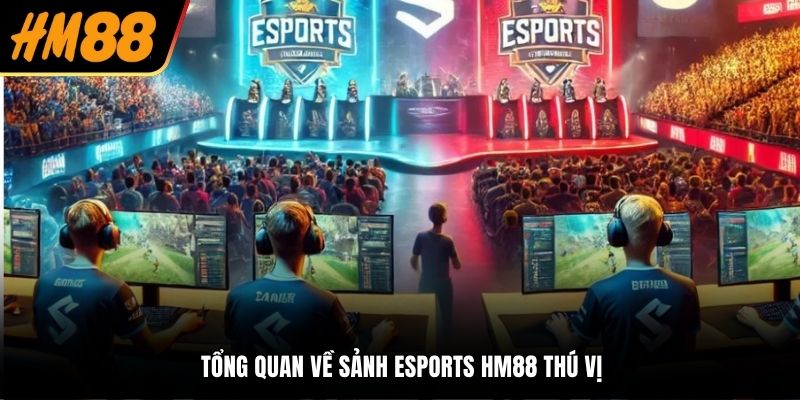Tổng quan về sảnh Esports HM88 thú vị