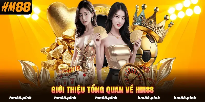 Giới thiệu tổng quan về HM88