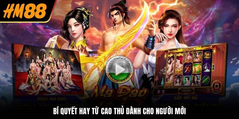 Bí quyết hay từ cao thủ dành cho người mới