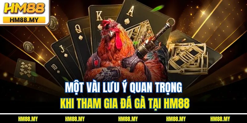 Một vài lưu ý quan trọng khi tham gia đá gà tại HM88
