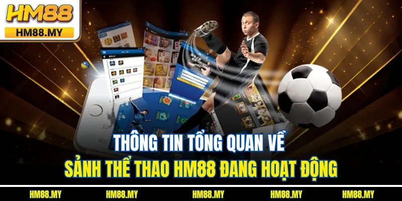 Thông tin tổng quan về sảnh thể thao HM88 đang hoạt động