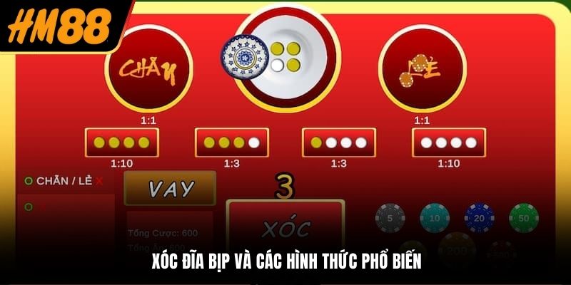 Xóc đĩa bịp và các hình thức phổ biến